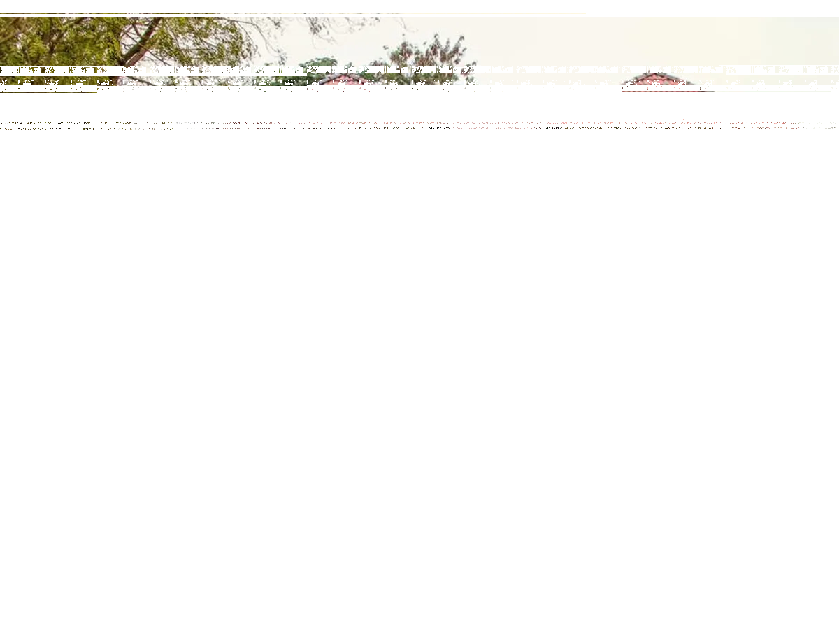 Untitled design - 2025-11-21T094851