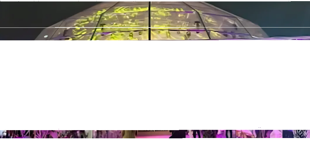 9a9fa6d2d18d439381aa2835ed175879